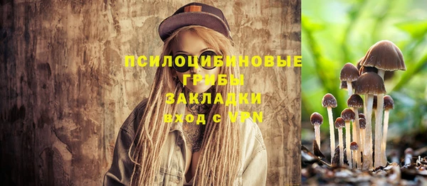гидра Нефтекумск