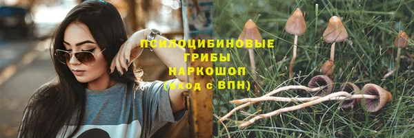 не бодяженный Нея