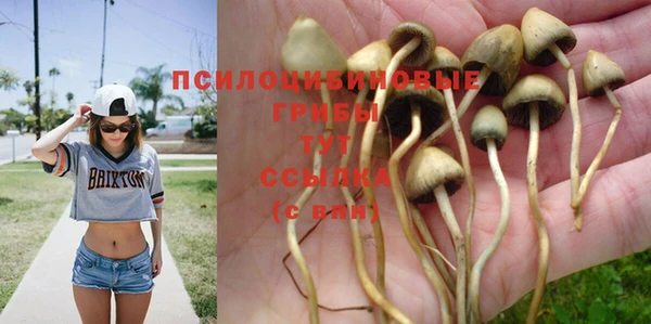 не бодяженный Нея