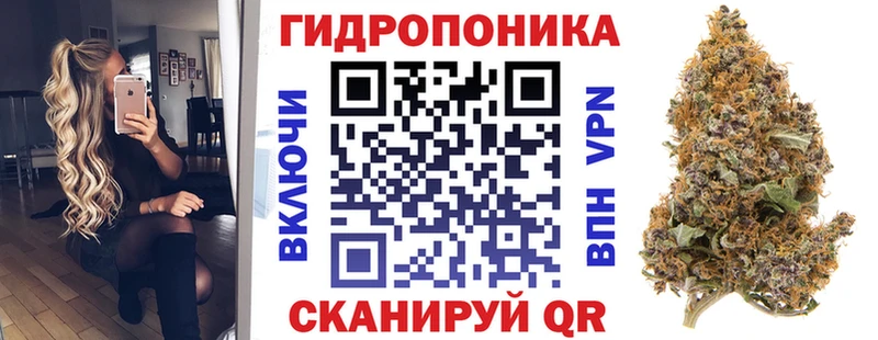 Каннабис сатива  дарнет шоп  Разумное 